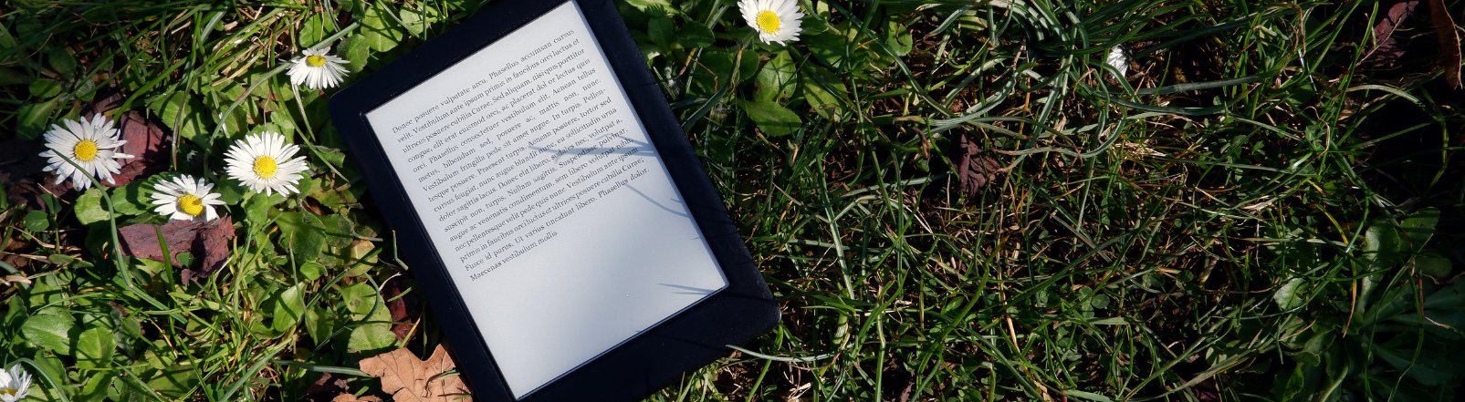 E-reader in the grass with daisies growing nearby